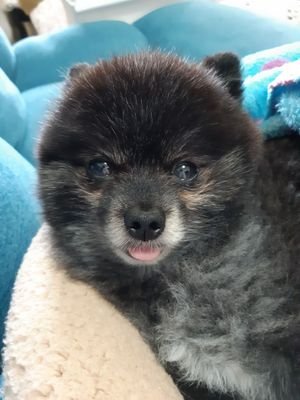 EORe0SjJMVAbkCS's profile picture. 