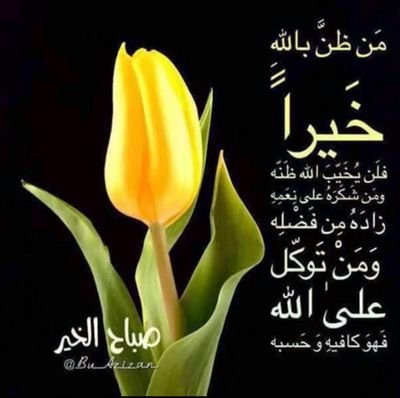 iSIvrrl3xJKWASZ's profile picture. الحياة عقيدة ومسرحها الحقيقي التفاعل والاحتكاك مع المجتمع  كل يوم باشراقة شمس نتعلم ،، يالله اني بوجهك من صدوف الليالي الموجعة   ،، ✋