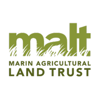 MALT (@malt_ag) 's Twitter Profile Photo MALT (@malt_ag) 's Twitter Profile Photo