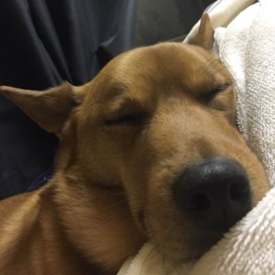 SwIiapSmF8rE7Xv's profile picture. ど田舎で、のんびり自営業中。ときどきバイト。 最近ブログ始めました。ドカバト・ゲーム・食いしん坊なので料理・映画などなど好きです。