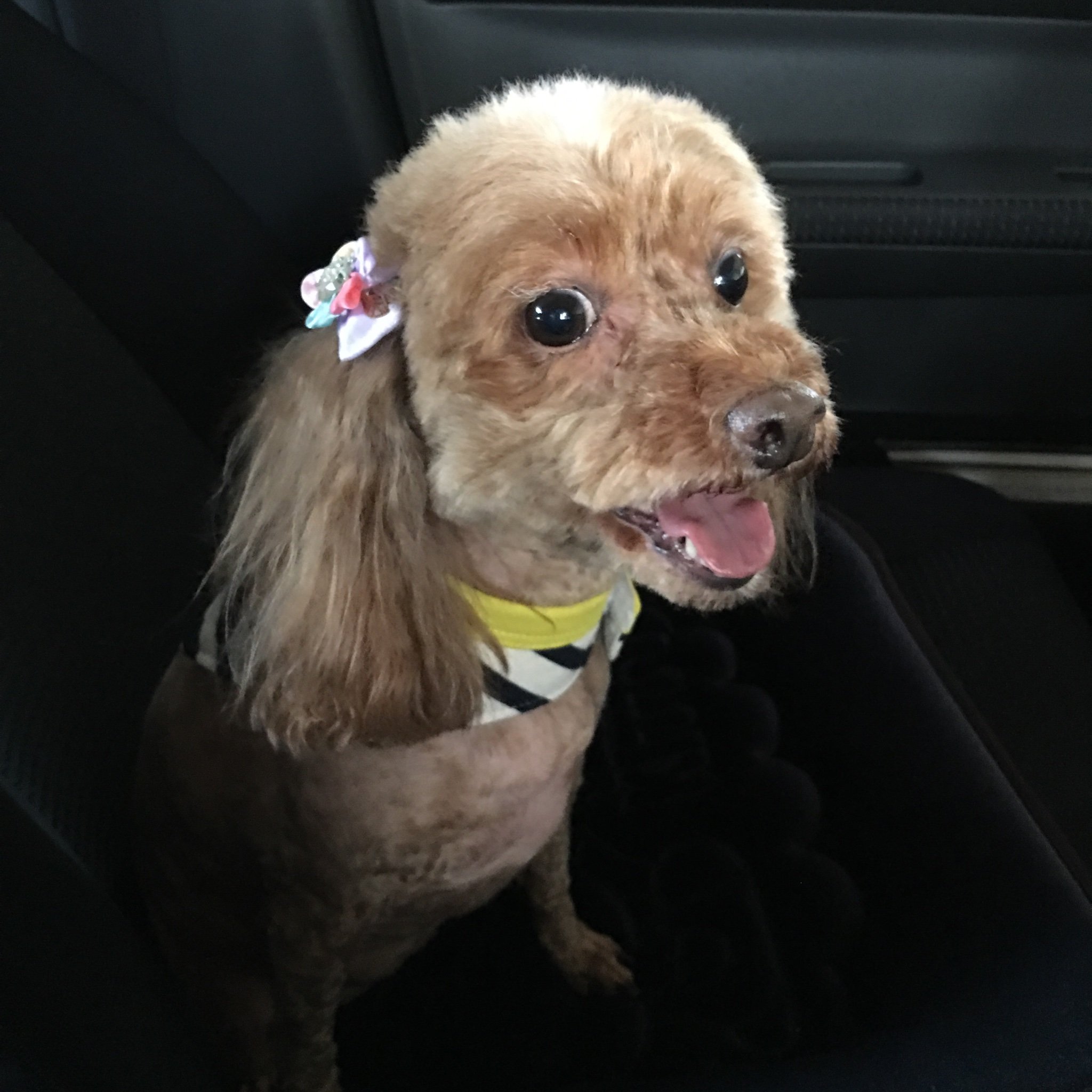 mi35111's profile picture. お疲れモードのママ