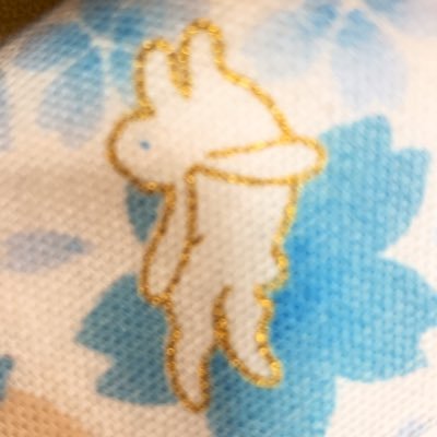kurukurumin18's profile picture. COVID-19になってからライブに行く気がなくなったけど、又前みたいにライブで汗がかける日を願って🎶 主にメロコア、ラーメン好き♡2020年から警備士始めました(‘-’*ゞ
