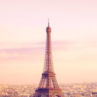 سالب الرياض متحرر (@qjznenevun8ioof) 's Twitter Profile