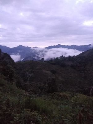 technologyhead4's profile picture. 