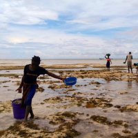 OurSeaOurLife (@ourseaourlife) 's Twitter Profile