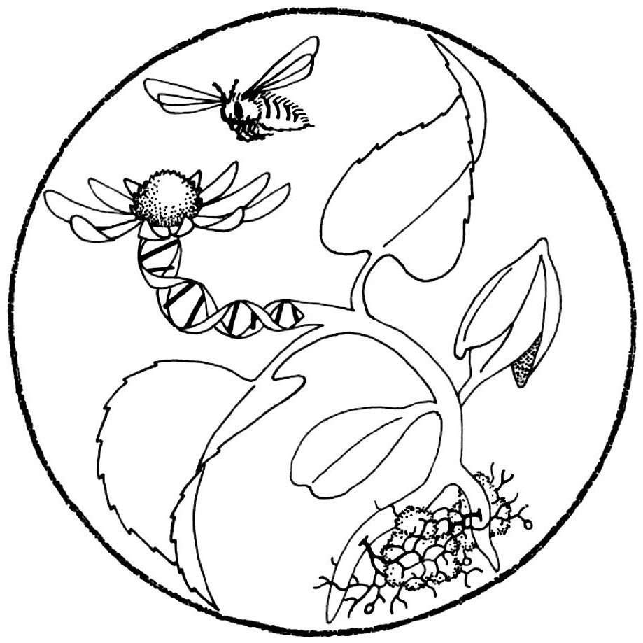 Plant Biology and Conservation Program Profile