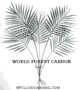 WF_Carbon's profile picture. To use our competency in international capital markets and finance to accelerate the global transition to a low-carbon economy & foster sustainable development