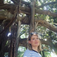 Denise Rose (@drohansen) 's Twitter Profile