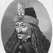 VicenteBasilio9's profile picture. Virtus in media