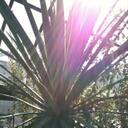 Dawn Biggs - @SisterMarySun - Twitter