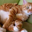 Jamie - @MaeMaesMomae - Twitter