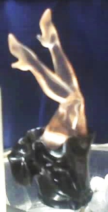 maggikkka's profile picture. dance teacher folk and latin music