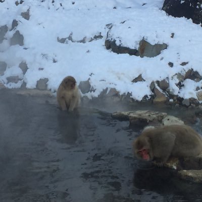 Tommydotti's profile picture. 