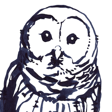 StoriedOwlBooks's profile picture. 2059 Randolph Ave. Was a Family-owned independent bookstore with books for all ages!