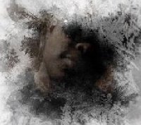 laney2008's profile picture. what can i say i did what did to make where i'm at but i'm reaching for that top making my dreams come true