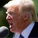 Bob Trump Guy - @BobTrumpGuy1 - Twitter