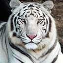 Jayson Paul Ancheta - @mr_gigolo2010 - Twitter