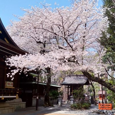 hhy0218's profile picture. 2024年USCPAチャレン中#FAR→BAR→AUD→REG
USCPA勉強中の仲間を繋げたい