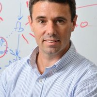 Avi Schroeder (@avischroeder) 's Twitter Profile Photo Avi Schroeder (@avischroeder) 's Twitter Profile Photo