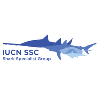 IUCN SSC Shark Specialist Group(@IUCNShark) 's Twitter Profileg