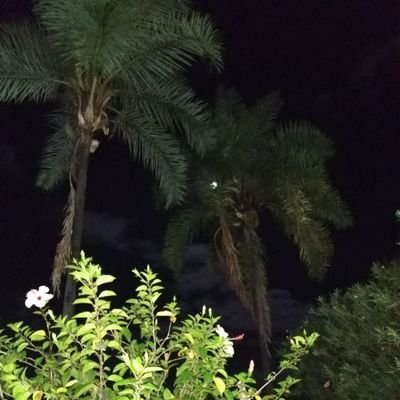 robert1_br's profile picture. Difícil, deixo para quem me conhece.Mas sou o que sou.
Fruto do meio e pouco do Bio.