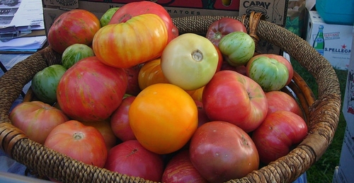 evans_garden's profile picture. Evan's Garden makes all natural & organic beauty care,natural personal care & natural household prods frm highest-quality plant essences & other ingrdients.