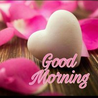 reddy (@reddy98422251) 's Twitter Profile