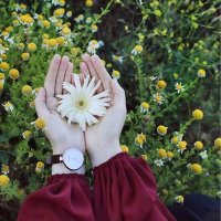 Omjawad (@omjawad3) 's Twitter Profile