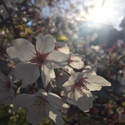 asti_g_mei's profile picture. Maine Mendoza😍 Eat Bulaga, alDUB, Kim Nam Gil, Fiery Priest, QSD, 1N2Dseason3, IU, JKS, Eminem, GoT follower