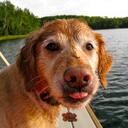 Anne Drake - @drakeannie - Twitter