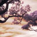 Krystal Cooke - @krystalcooke - Twitter