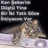 Balık etli kadın hastası (@bitlisserdar) 's Twitter Profile