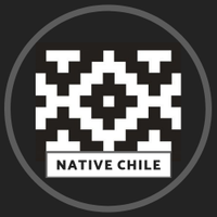 NativeChile (@native_chile) 's Twitter Profile