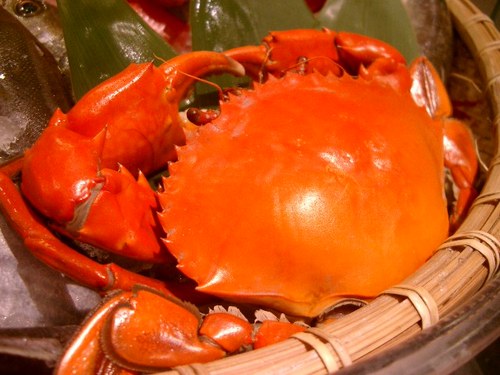 静岡県浜松市の街中にある地物満載の居酒屋です。旬のお魚やお野菜、お肉お酒････地物を味わうならココ！！さぁ、今日は何が美味しいかな～･･？