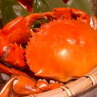 座房 (@dolphin_zabo) 's Twitter Profile