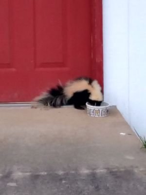 RodNorton4's profile picture. 