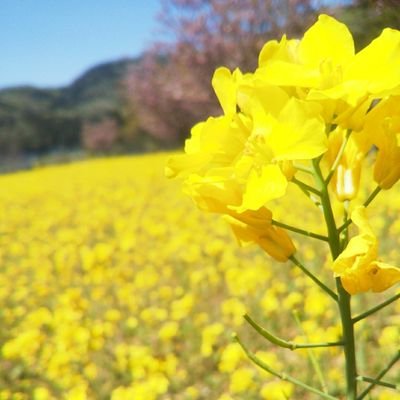 fFrI6PNcpRQfcMZ's profile picture. om→Kydn1‐3  2-2   バスケ部🏀