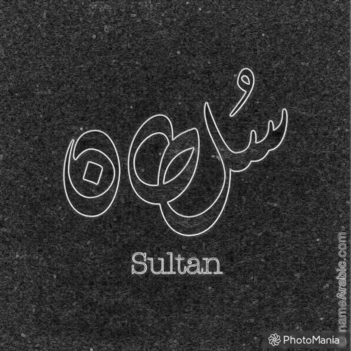 sultannn24's profile picture. 