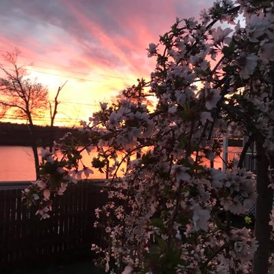 TeMommy2's profile picture. Wife of a firefighter. Love and adore my husband, kids and dog! Medical Esthetician...USNavy ⚓️