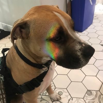 PhD student @ NYU ISAW • formerly UA / UCLA/ ULV • actuallyautistic + #EDS + a service dog🐕🦺 ancient medicine + bioarcheology • she/they 🏳️🌈