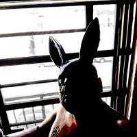 Hola..🤟 (@martino78602155) 's Twitter Profile
