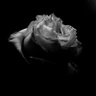 santhis17's profile picture. 
