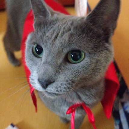 mjy3's profile picture. 고양이와 영화, 인디음악을 좋아하는 iOS 개발자 입니다.