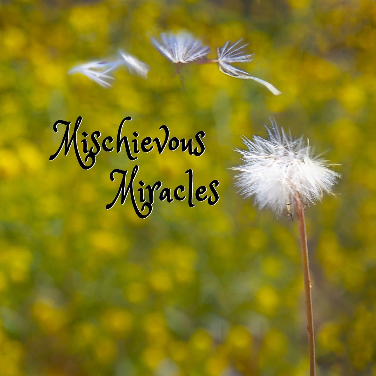 MischievousMiracles