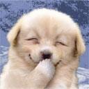 Rosa Bär - @twittmanes - Twitter