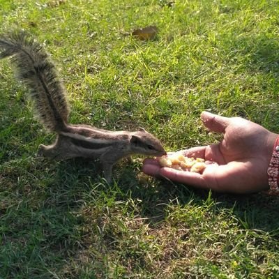 itz_Amritraz's profile picture. A BIHARI|Bhojpuri-Meri jaan(Sb Bhasha ko sammaan)| Interested in Active politics, mainly in strategy making| Believes in Secularism, Socialism & Populism.