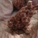 Glenn Newton - @Glenn_Newton - Twitter