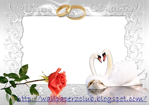 wallpaperzclub's profile picture. Get amazing wallpapers here for free and set your desktop now