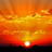 telephone1242so's profile image