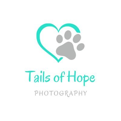 Mostly animal photography but occasionally something different just to keep life interesting!  All images are owned by me unless RT